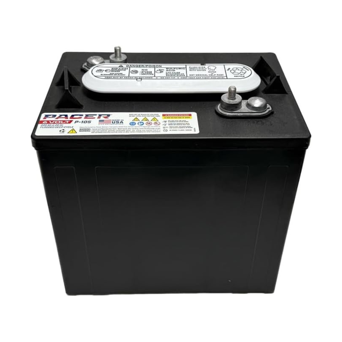 Batería PACER P105 6 VOLT 220 A/H (262-181-273) - Imagen 4