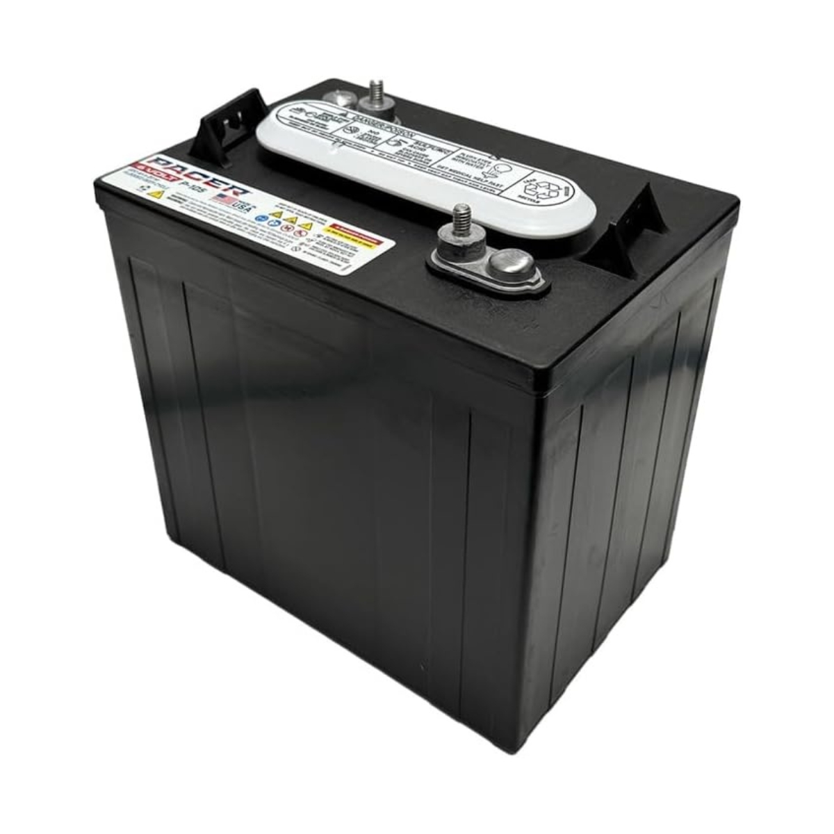 Batería PACER P105 6 VOLT 220 A/H (262-181-273) - Imagen 2
