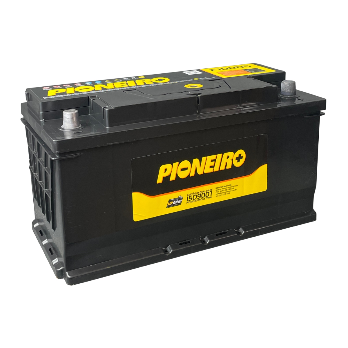 Batería PIONEIRO F100DS 12VOLT 165 AMP 100A/H